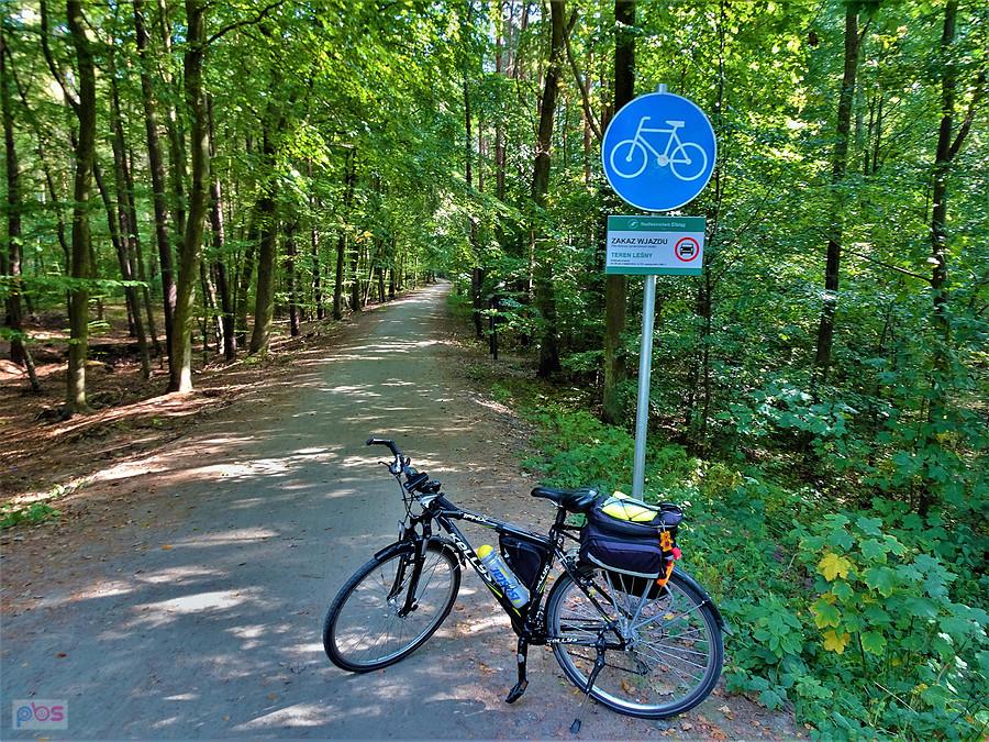 Wycieczka rowerowa nad morze - Jantar W drodze.