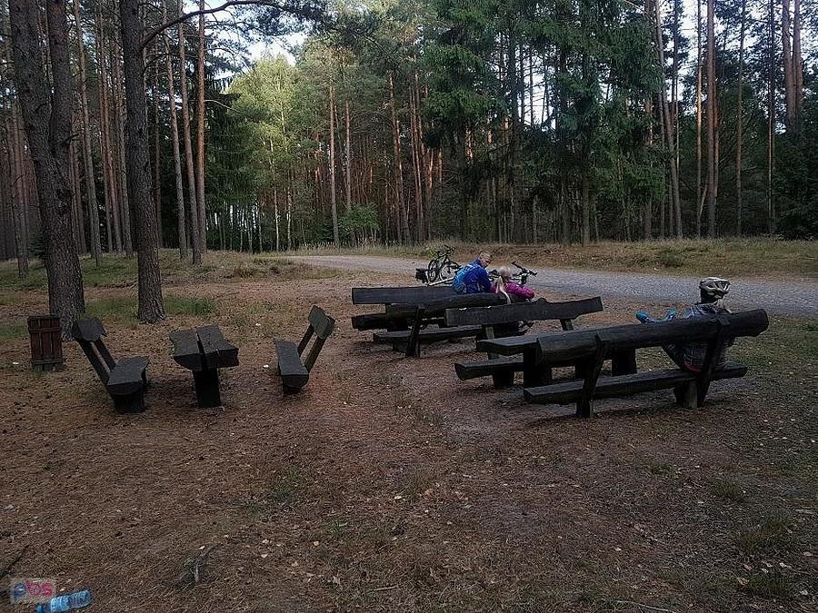 Leśne miejsce na odpoczynek
