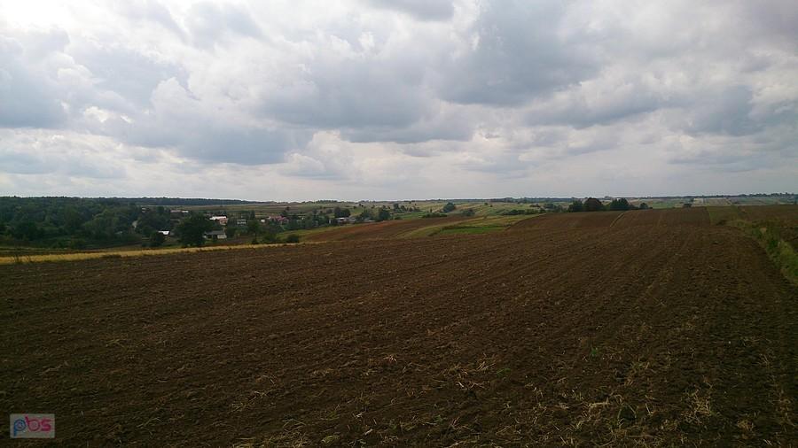 Pofałdowane pola w okolicach Blinowa
