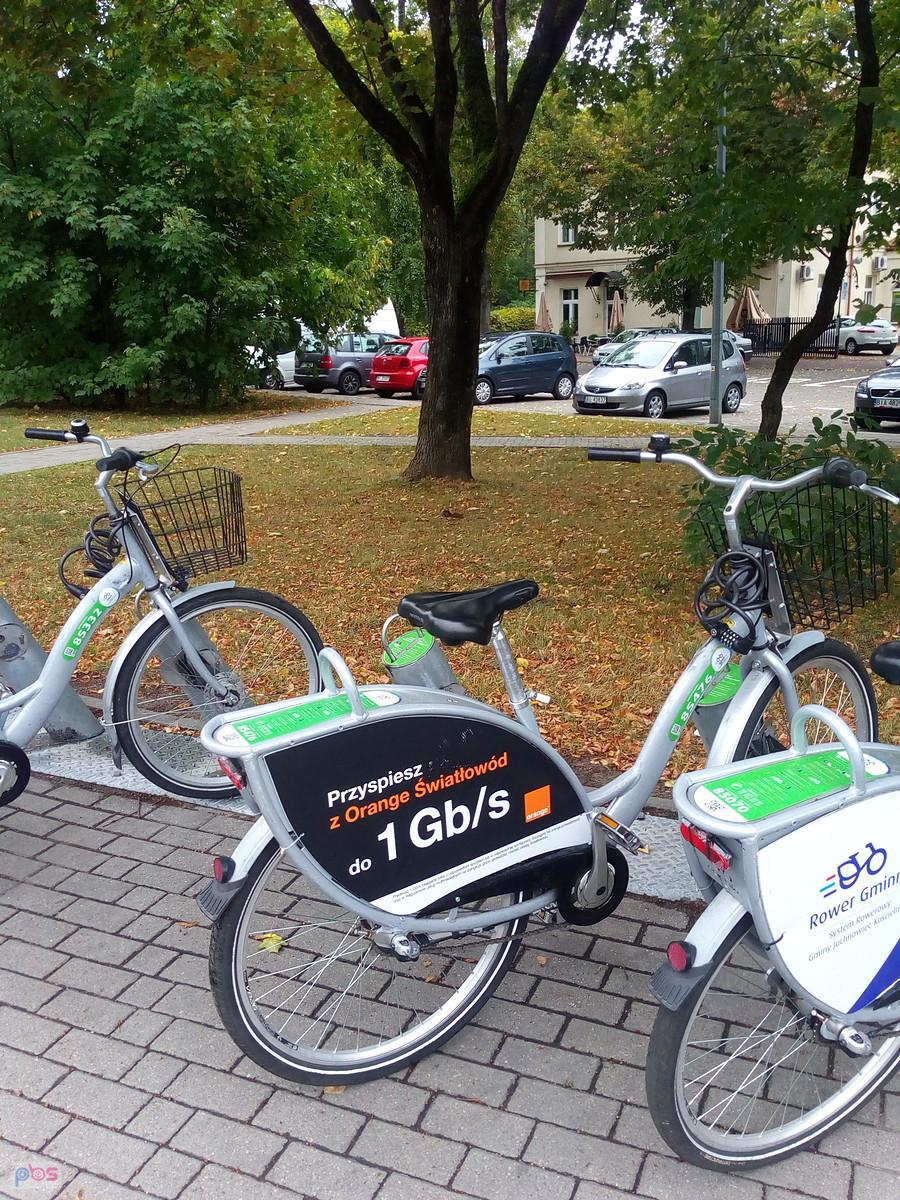 Mieszczuchy na parkingu