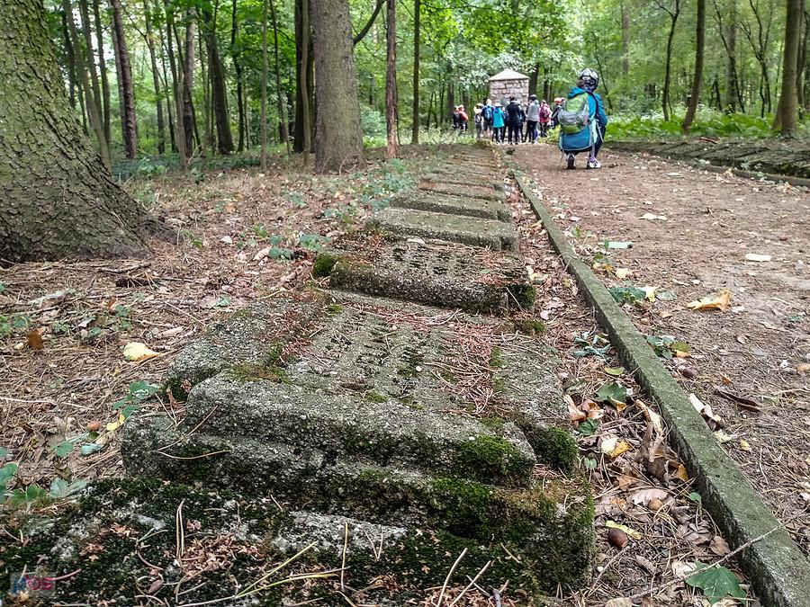 Niesułków-Kolonia - Na cmentarzu z I wojny światowej