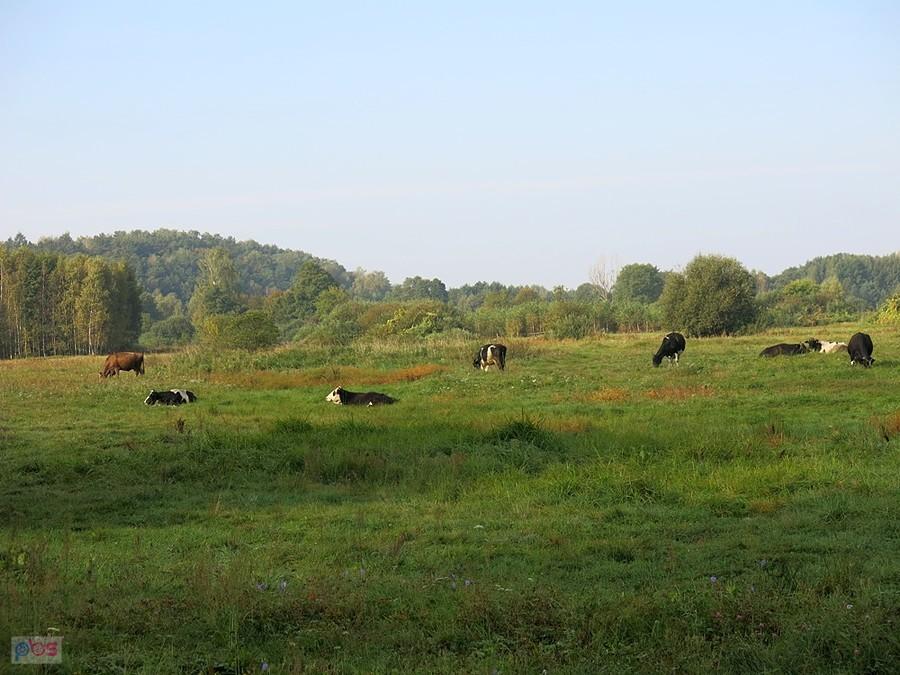Na polach przed Inowłodzem