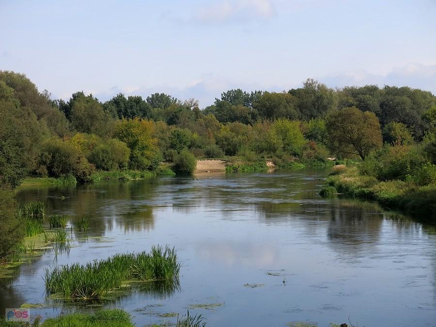 W Tomaszowie, nad Pilicą