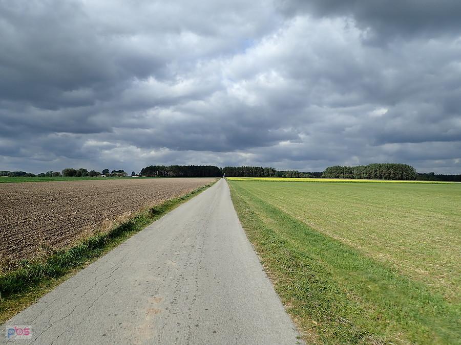 Brevet 200 km. Płaskie Mazowsze
