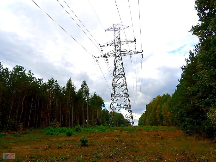 Na trasie Dęby Bogusława - Podbórz.