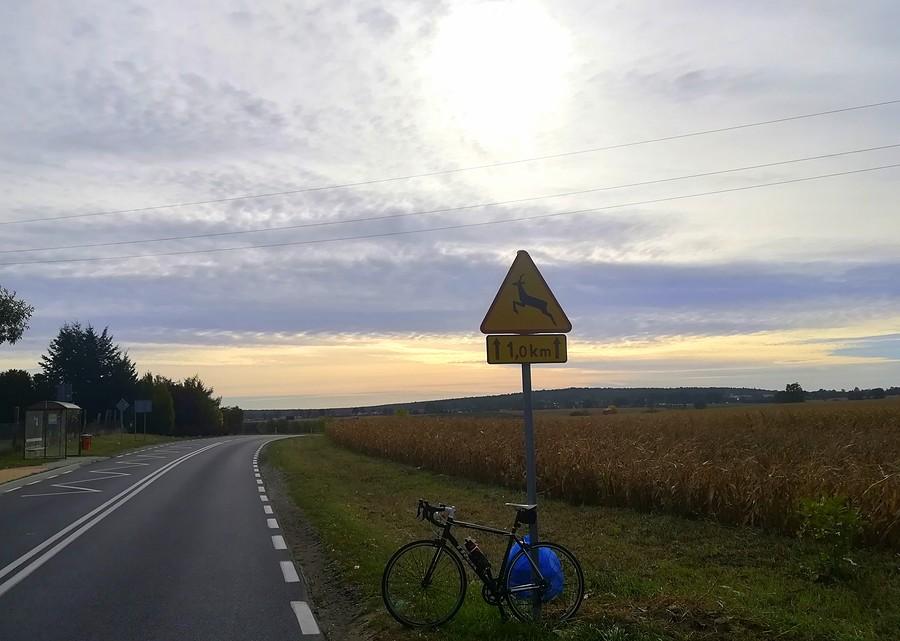 Sakwiarz mimo woli