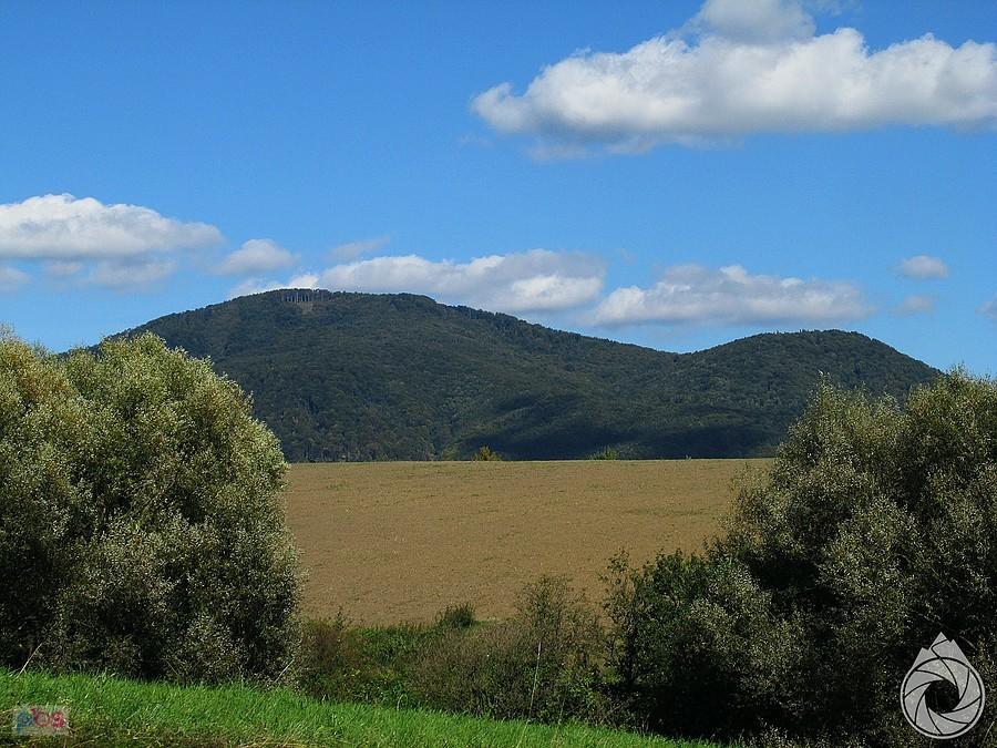 Busov zza pól
