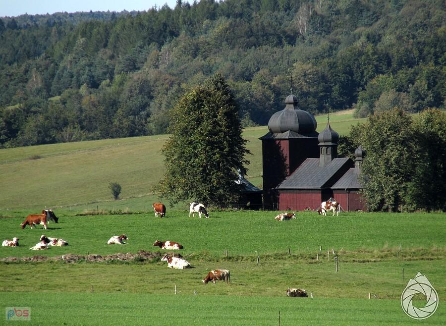 cerkiew w Koniecznej ikrowy wójta