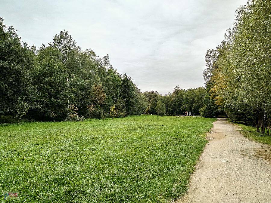 Chmury zasłaniają niebo
