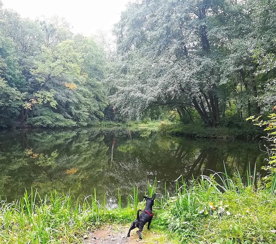 Jesień wypatrzona