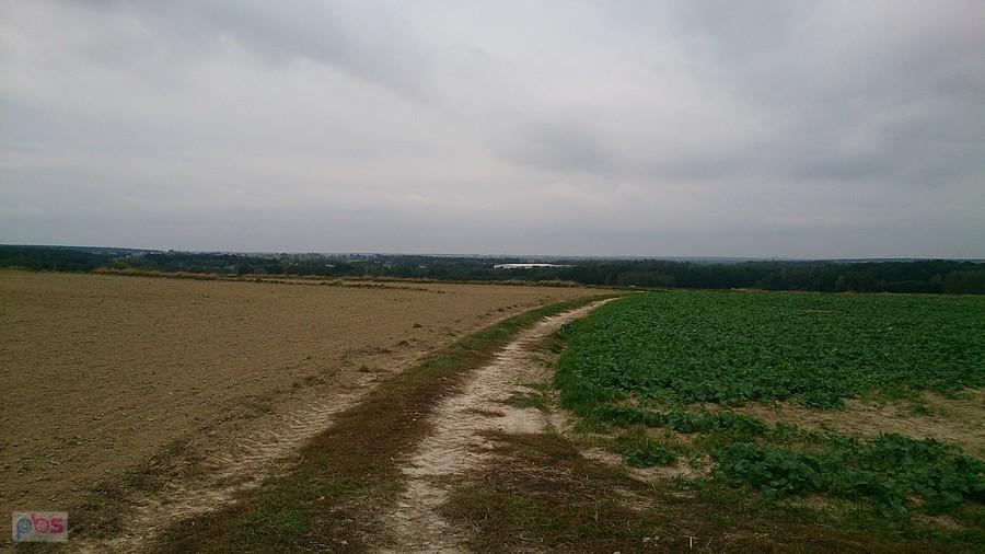 Polna droga i widoki
