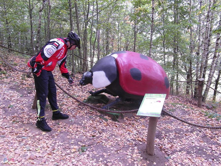 Kaszubski Park Gigantów - Strysza Buda