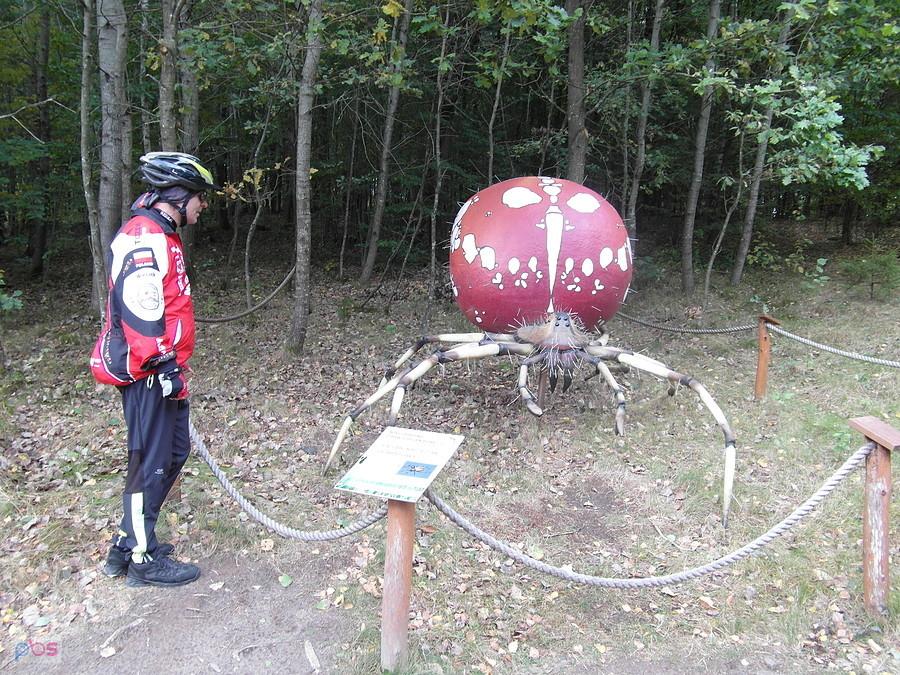 Kaszubski Park Gigantów - Strysza Buda