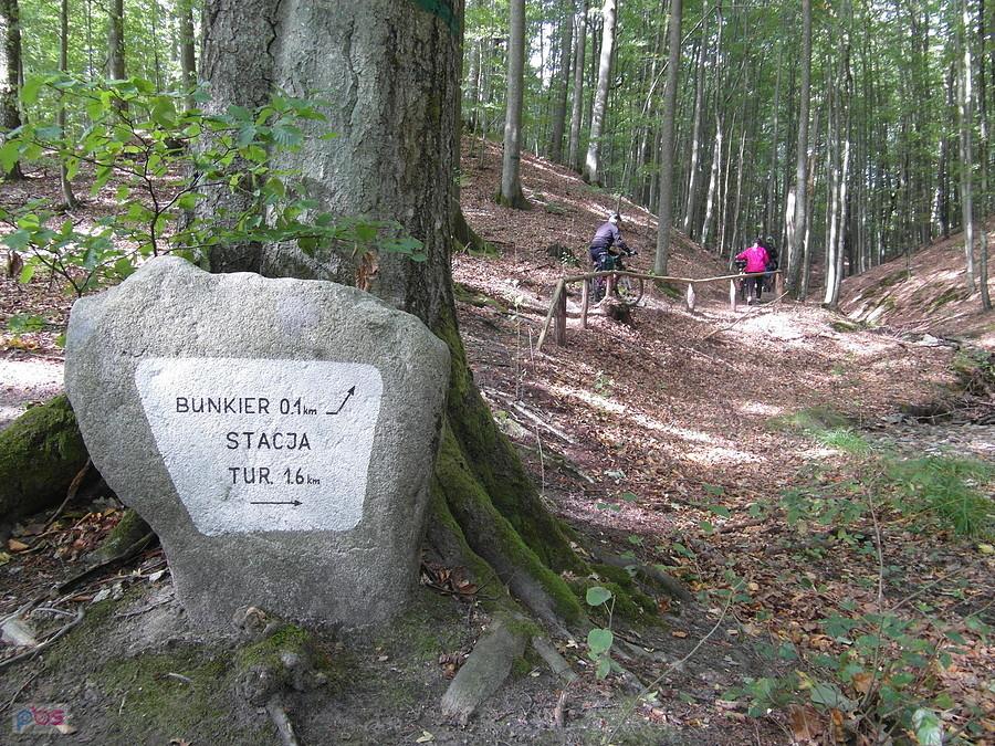 Bunkier Ptasia Wola - Kaszuby