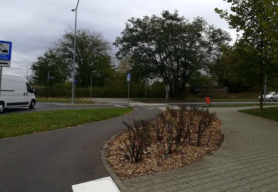 Krzaki wycięte, widoczność wróciła