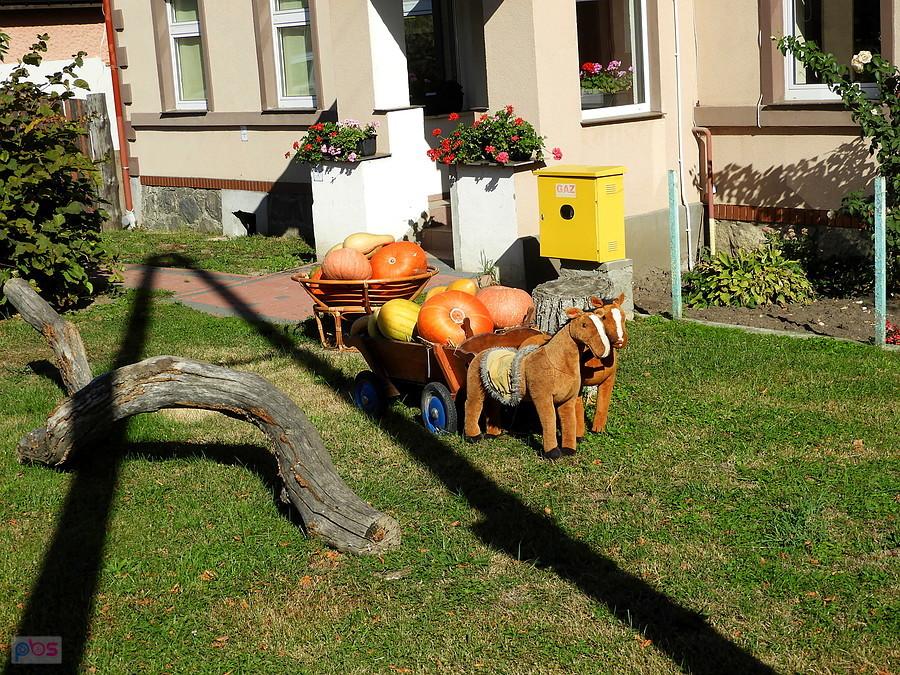 Jesienny obrazek z Siadła Górnego.