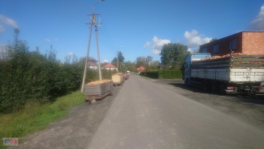 Jabłka czekają na skup