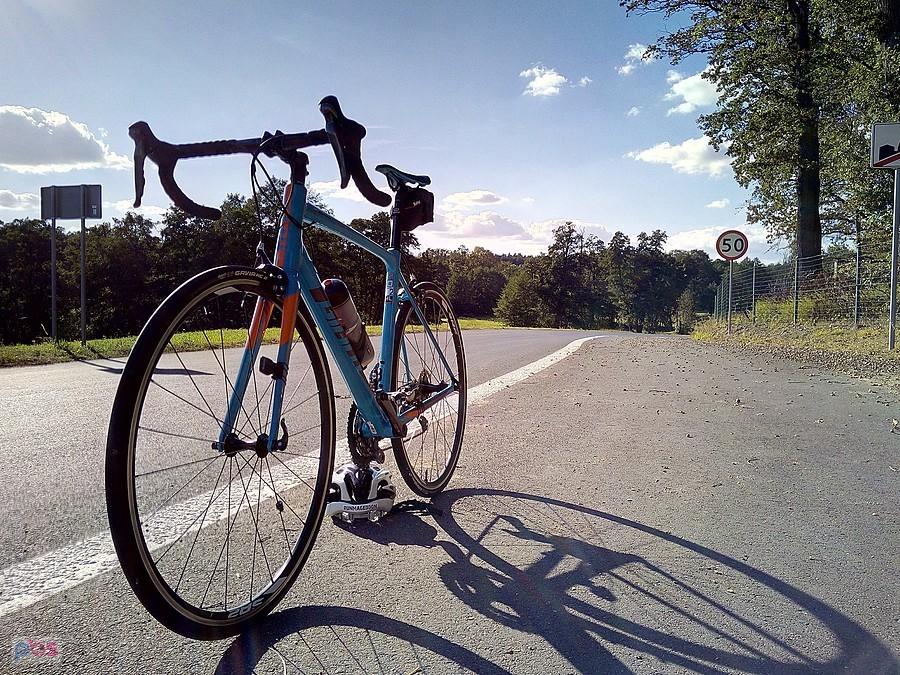 Giant Contend SL 2