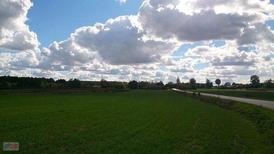 Zielone pola we wrześniu