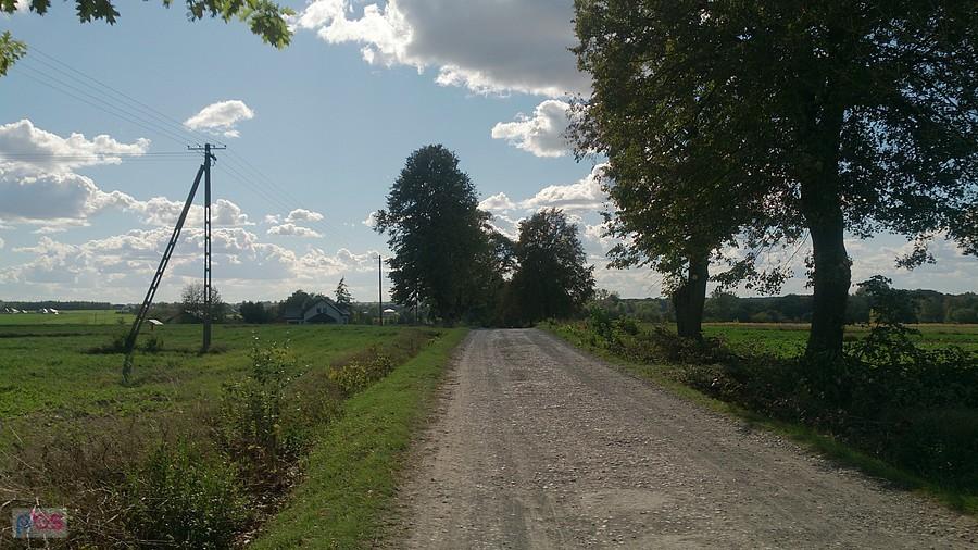 Polna droga na Krężnice