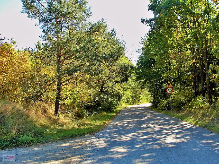 Rowerem po Kociewiu - jesienne klimaty.