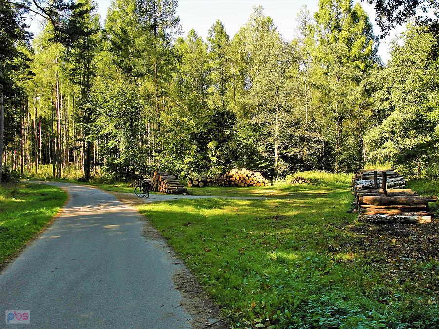 Rowerem po Kociewiu - jesienne klimaty.