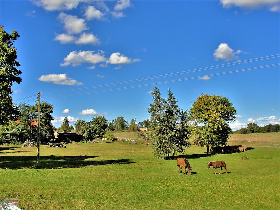 Rowerem po Kociewiu - jesienne klimaty.