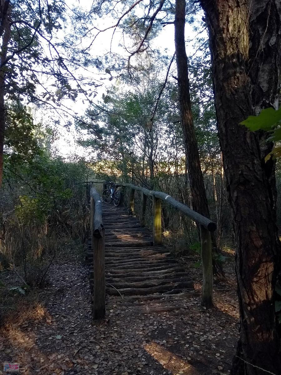Torfowisko Rąbień
