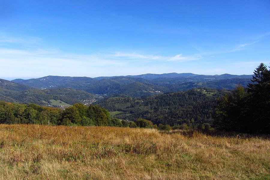 Widoczek I