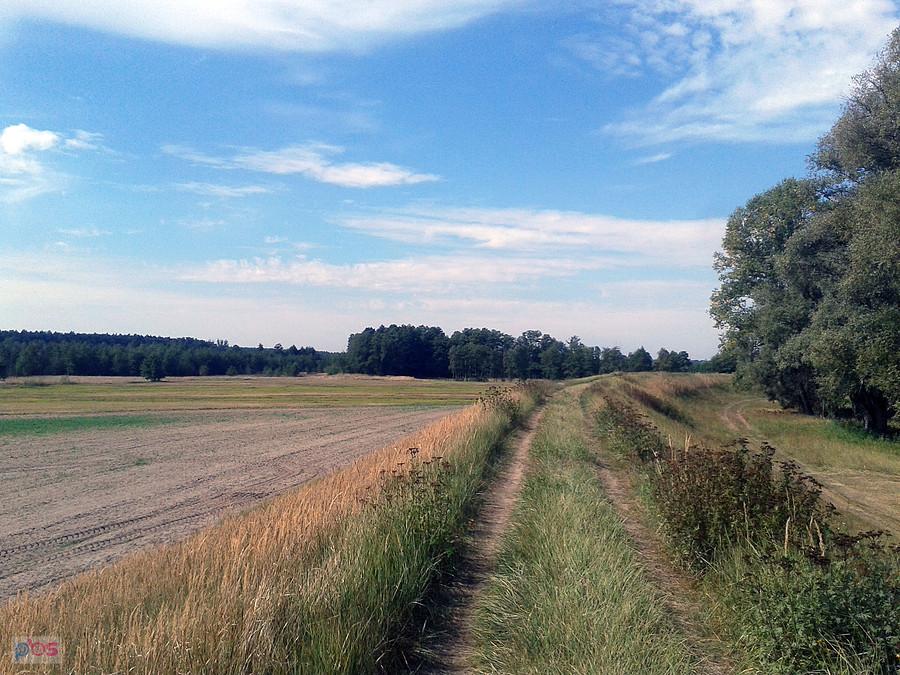Nie tak zarośnięty jak mi opisysywano