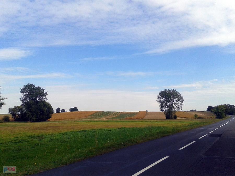 Kierunek Ląd