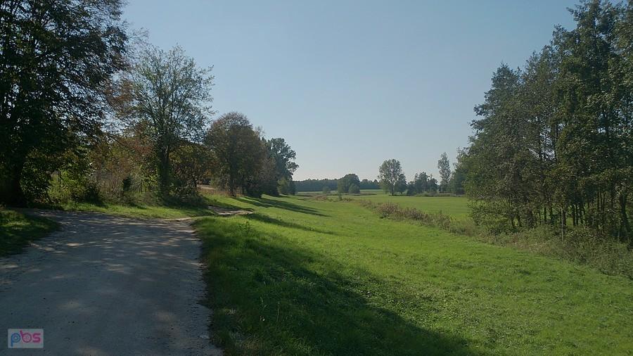 Łąki w okolicach Niedrzwicy