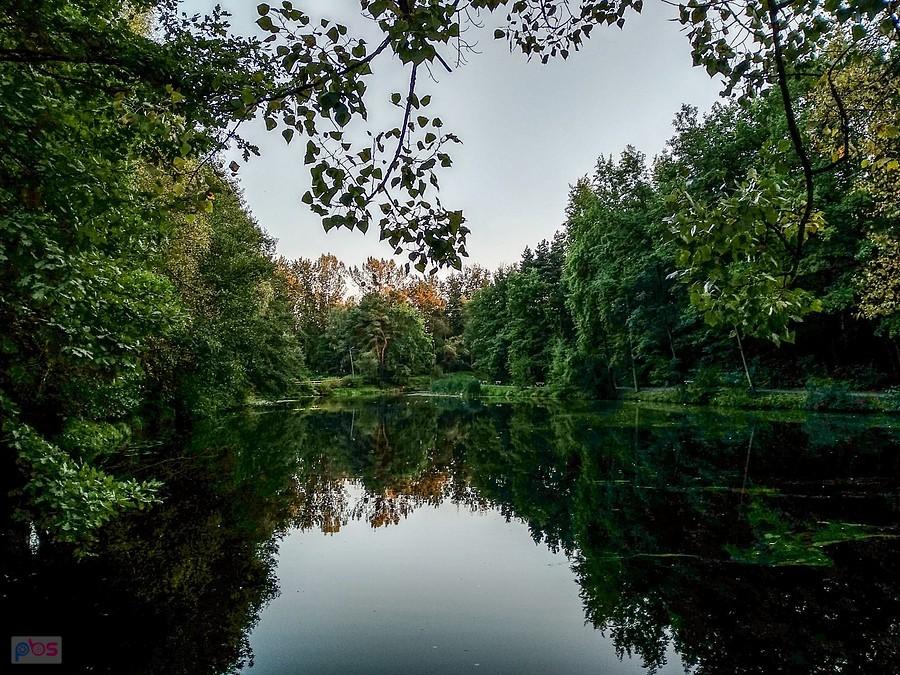 W parku Zadole