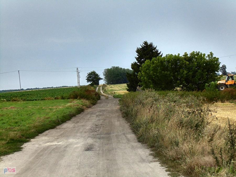 drogą polną do Grabowa