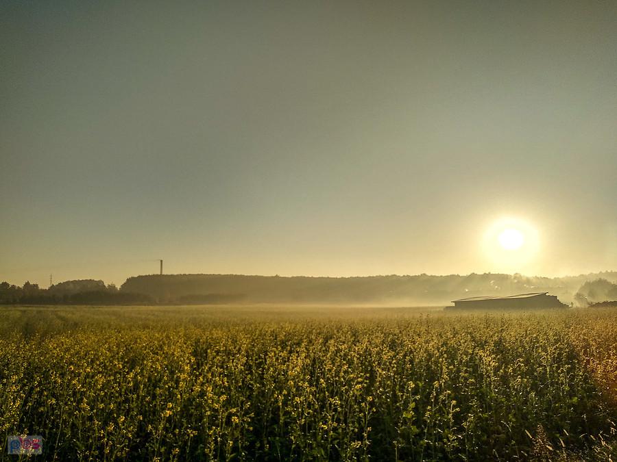 Wstaje słońce nad Kochłowicami