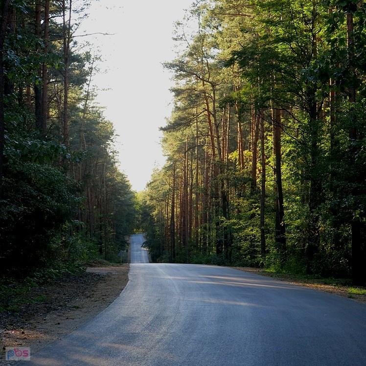 W Mariance przez las