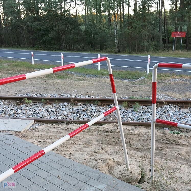 Ups. Czyżby ktoś narobił sobie ku-ku?
