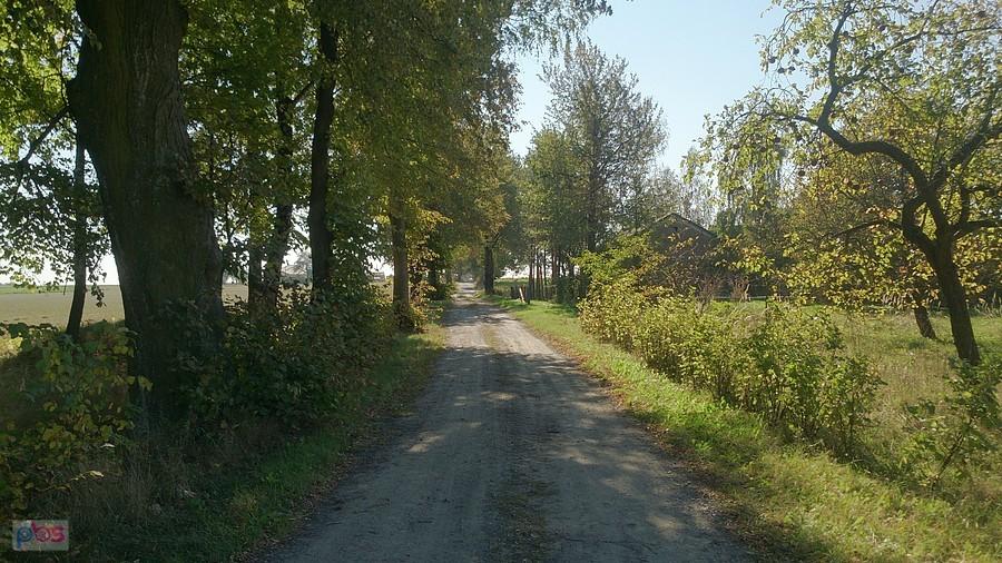 Piękne jesienne krajobrazy