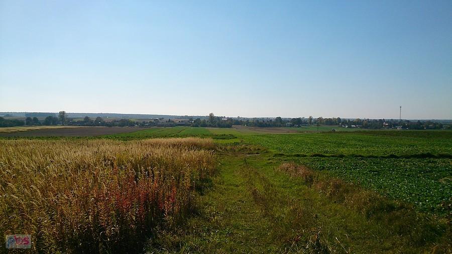 Widoki na Niedrzwicę Dużą