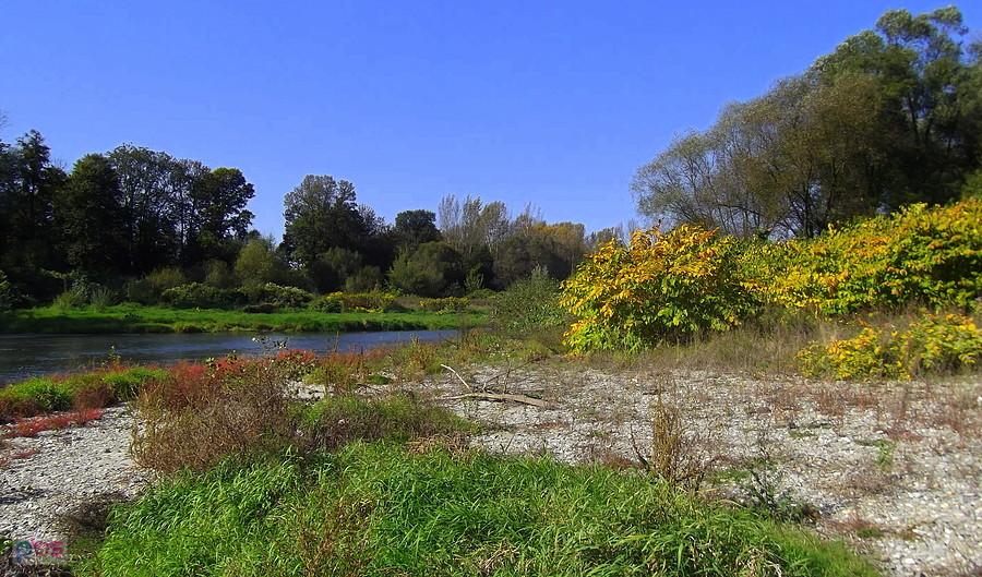 Ścieżką rowerową "Graniczne meandry Odry"