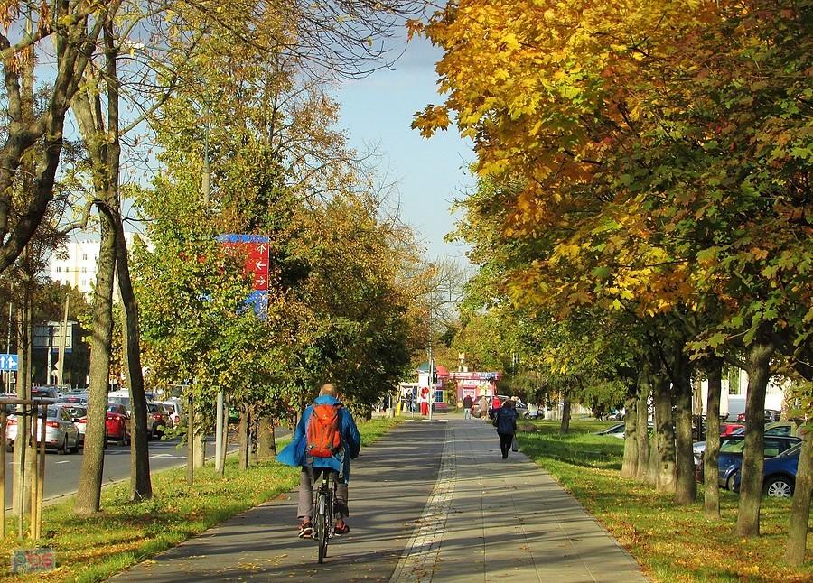 DDR wzdłuż ul. Ciszewskiego
