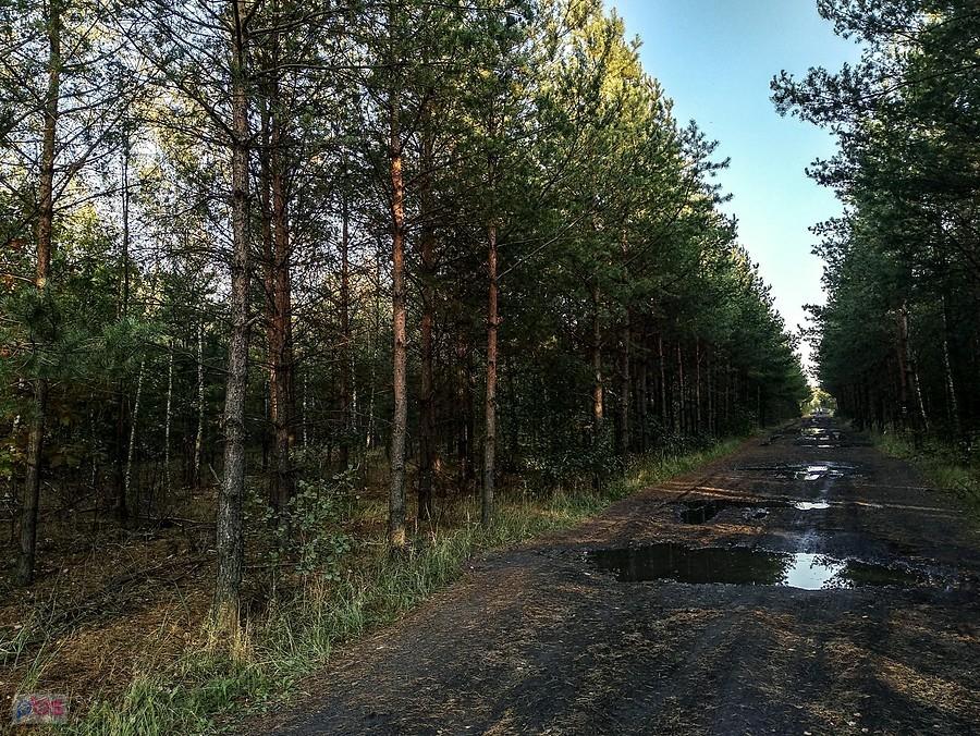 Na starej hałdzie w Makoszowach
