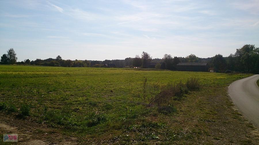 Zielone łąki w Grądach