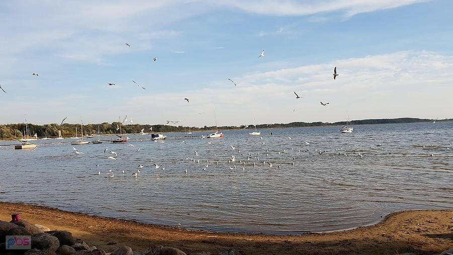 Jezioro Miedwie prawie jak nad morzem