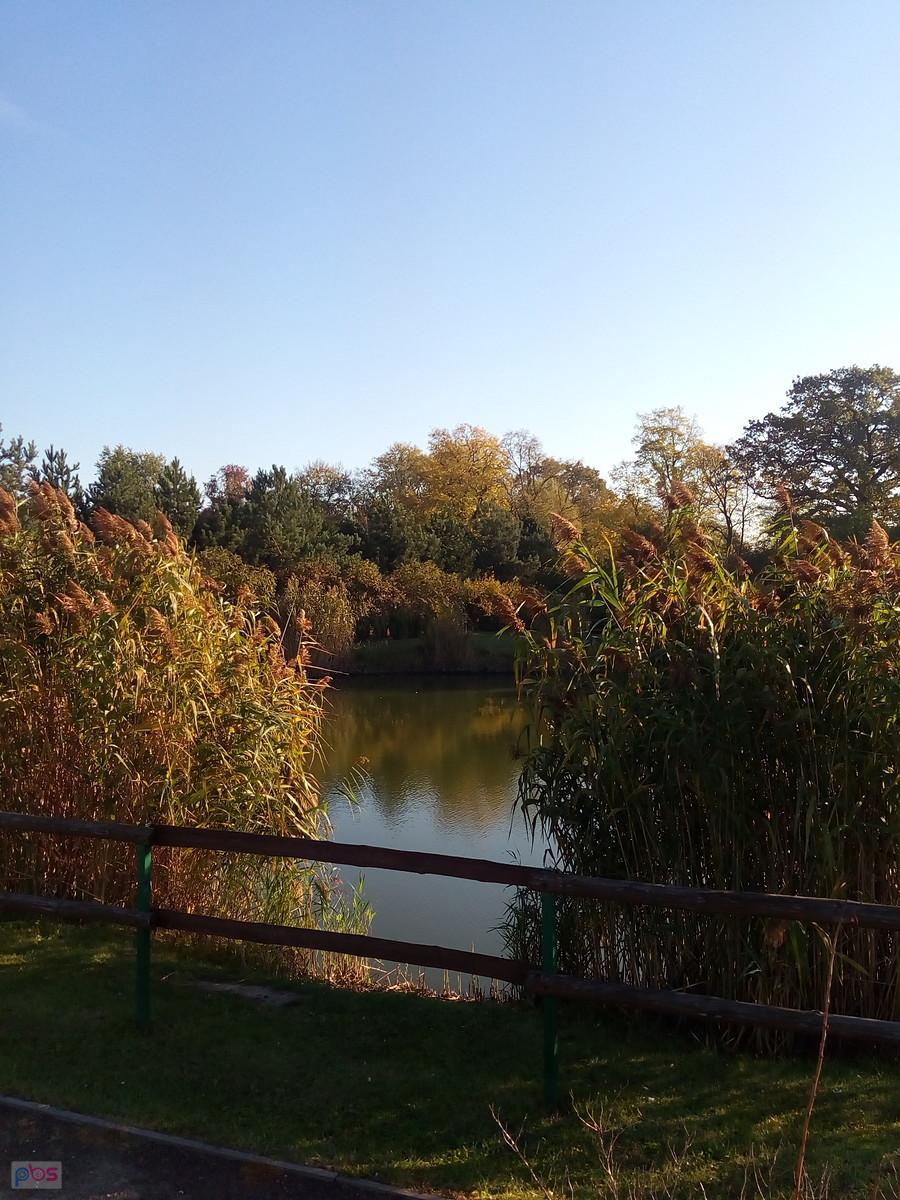 Jesienny staw w Borzecinie