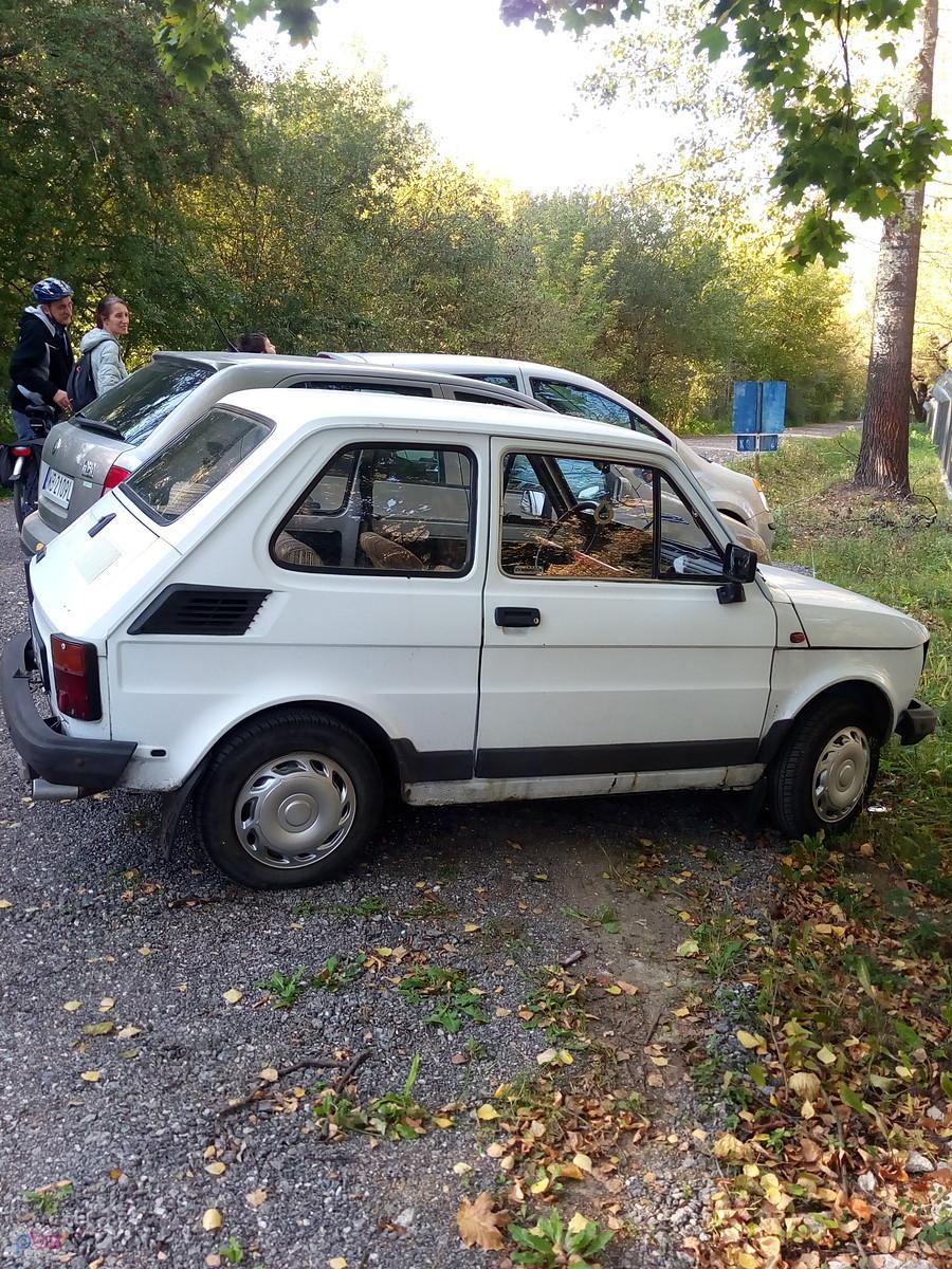 Dziś urodzaj na Maluszki. Rano widziałam jadącego, w południe inny stał na parkingu w lesie