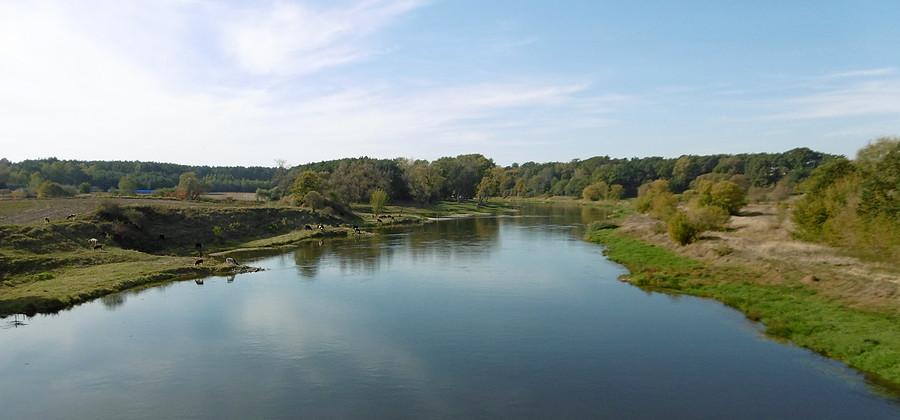 Jesiennie nad Wartą w Obrzycku