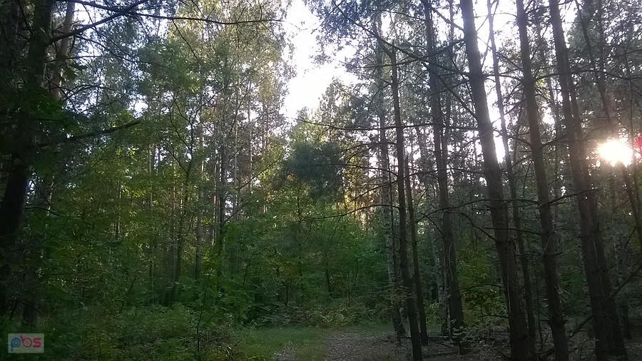 Piękna, letnia jesień na Jurze