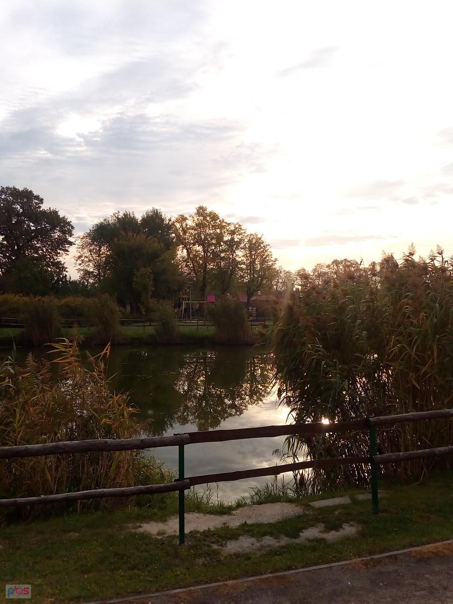 Obowiązkowy staw w Borzęcinie