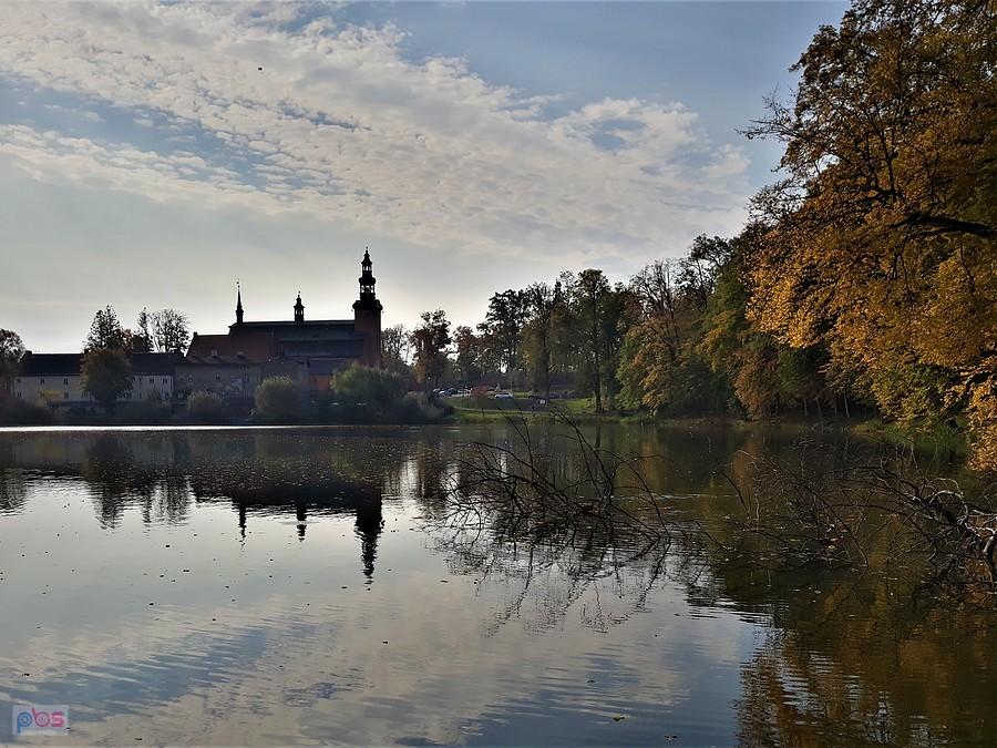 Widok na Kolegiatę p.w Najświętszej Maryi Panny w Kartuzach